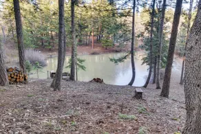 Fire Pit & Water Views! Woodsy Tygh Valley Retreat - Innenbereich