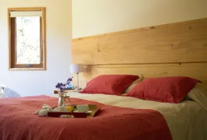 Hotel y Termas Huife - Room