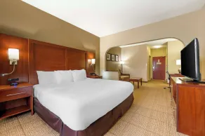 Comfort Suites Castle Rock - Denver South - Room