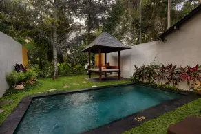 Ubud Padi Villas - Piscine