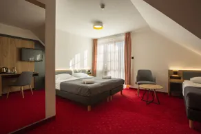 Pensjonat Puchaczówka - Habitación