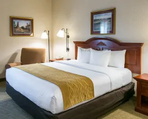 Comfort Inn Warrensburg Station - Chambre