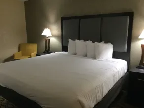 Baymont by Wyndham Bridgeport/Frankenmuth - Chambre