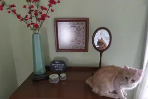 The Captain's House heritage bed & breakfast - Chambre