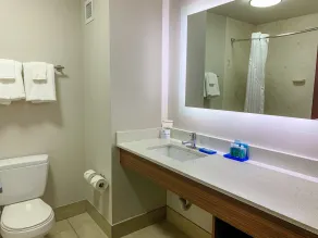 Holiday Inn Express & Suites Lexington Downtown Area-Keeneland by IHG - Salle de bain