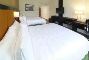 Holiday Inn Tampico-Altamira by IHG - Vue de la chambre