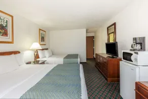 Super 8 by Wyndham Irving DFW Airport/South - Chambre