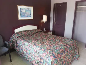 Sunny South Motel - Room