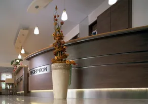 Hotel Brühlerhöhe - Réception