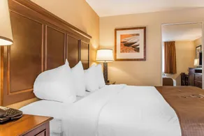 The Black Swan Lee - Lenox, an Ascend Collection Hotel - Camera
