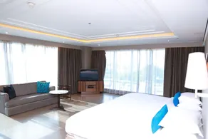 Hyatt Regency Ludhiana - Room