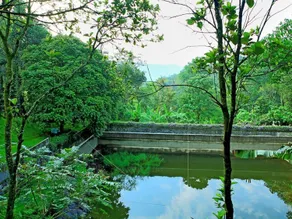 Reen Resorts Aanavilasam Plantation Thekkady - Piscina