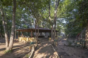 Maharaja Kothi By Alivaa, Bandhavgarh - Restaurante