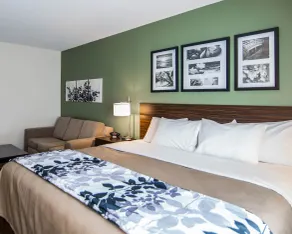 Sleep Inn & Suites Garden City - Chambre