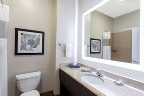 La Quinta by Wyndham Huntsville Airport Madison - Bathroom