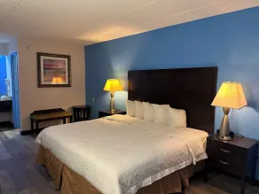 American Inn & Suites Bishop Airport Flint - Chambre
