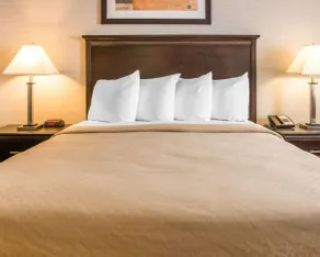 Quality Inn & Suites Next to the Casino - Chambre
