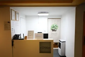 Golden Hill - Reception