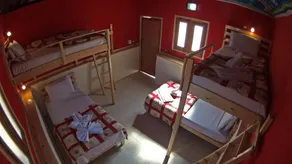 Roots - Habitación