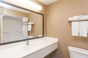 Baymont by Wyndham New Buffalo - Salle de bain