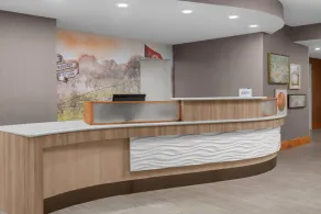 SpringHill Suites Pinehurst Southern Pines - Réception