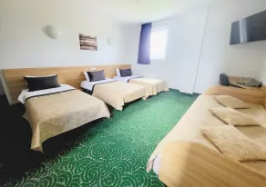 Green Vilnius Hotel - Room