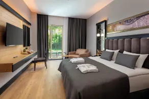 Dobedan Beach Resort Comfort ''Ex Brand Alva Donna Beach Resort Comfort'' - View from room