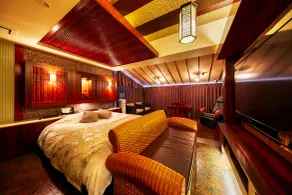Hotel Lotus Otsu (Adult Only) - Camera