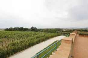 Agriturismo Poggio Al Tufo - View from room