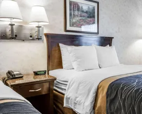 Comfort Inn Bellingham - Chambre
