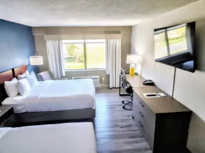 Comfort Inn Alpharetta-Atlanta North - Chambre