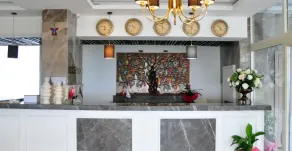 Rezone Health & Oxygen Hotel - Reception