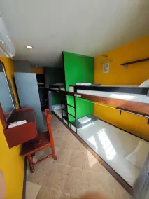 The Funky Monkey Hostel - 18 to 40 years old only - Chambre