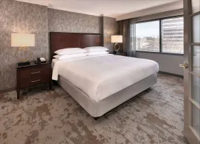 Embassy Suites by Hilton Bethesda Washington DC - Chambre