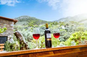 Ellafos Traditional Living-Elafonisi Couples Retreat - Utsikt fra rommet