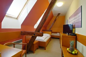 Hotel U Leva - Room