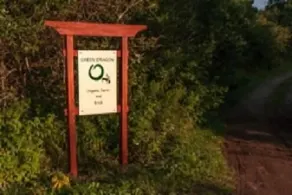 Green Dragon Organic Farm and B&B - Exterior