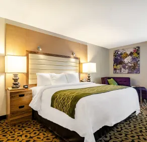 Comfort Inn Raleigh Midtown - Chambre