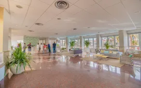 Apartamentos LIVVO Koala Garden - Receção