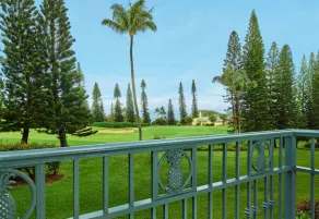 The Ritz-Carlton Maui, Kapalua - Vue de la chambre