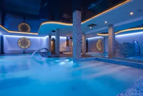 Hotel Piwniczna SPA&Conference - Basseng