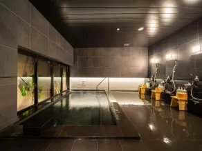 Super Hotel Sakai Marittima - Salle de bain