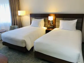 Hilton Garden Inn Mbabane - Habitación