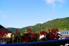Gästehaus Panorama - Vista do quarto