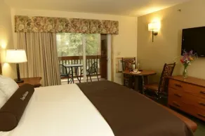 Denali Park Village - Chambre