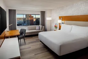 Hilton Albany - Zimmer