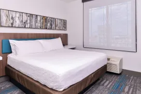 Hilton Garden Inn Salt Lake City Downtown - Udsigt fra værelset