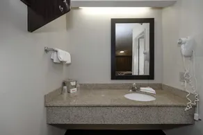 Red Roof Inn Tampa - Brandon - Bathroom