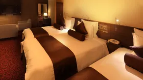 ANA Crowne Plaza Niigata by IHG - Chambre