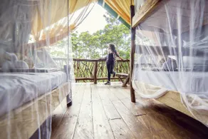 La Tigra Rainforest Lodge - Udsigt fra værelset